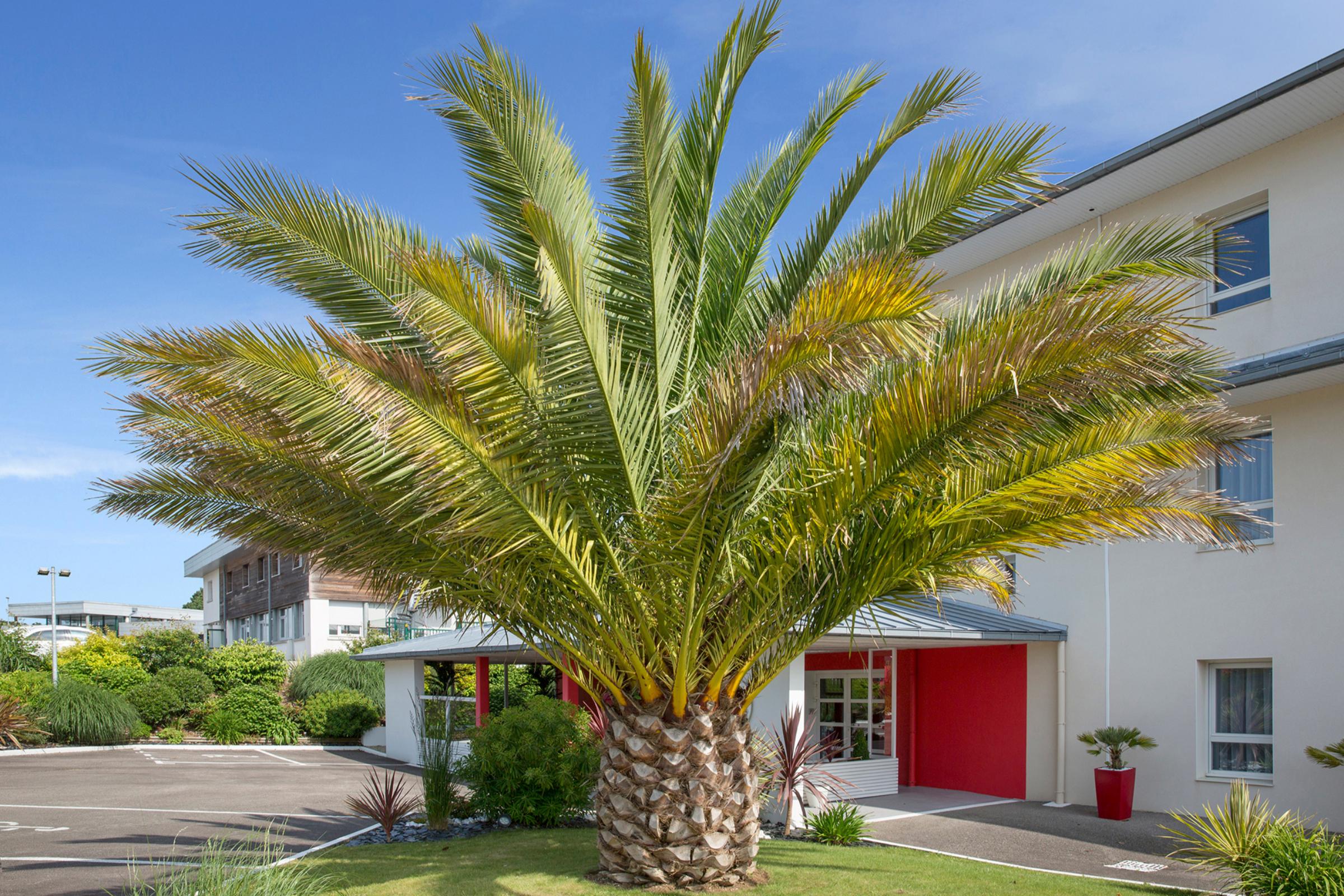 The Originals City, Loval, 3* Brest